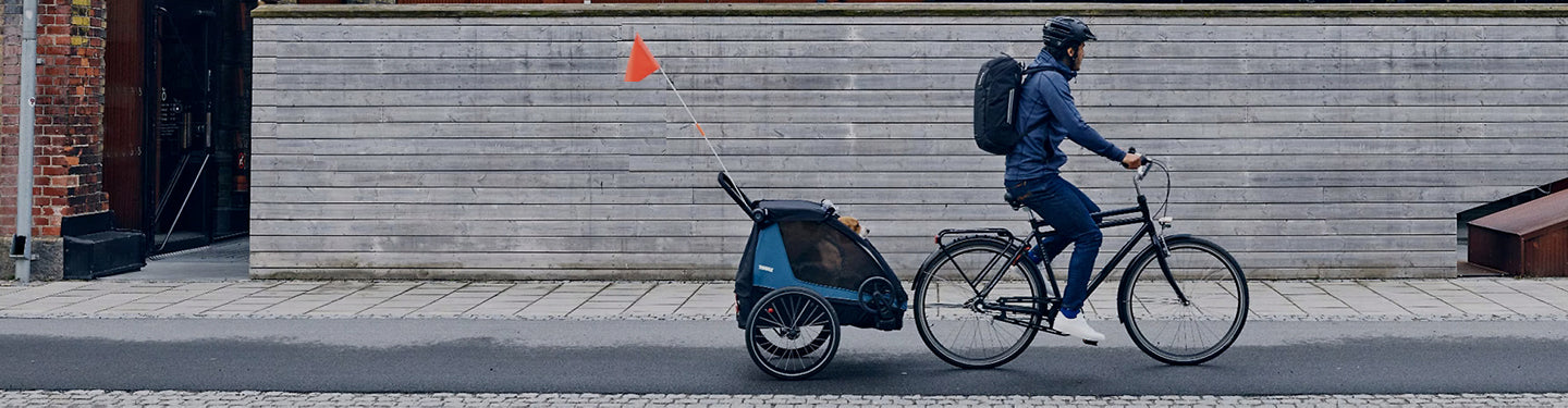 Remorque vélo enfant Thule