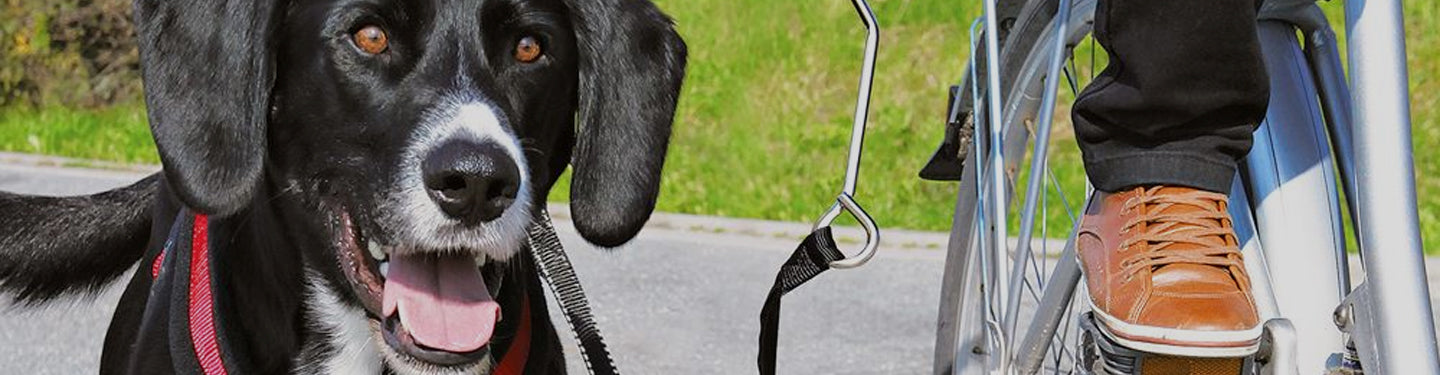 Accessoires vélo pour animaux Trixie