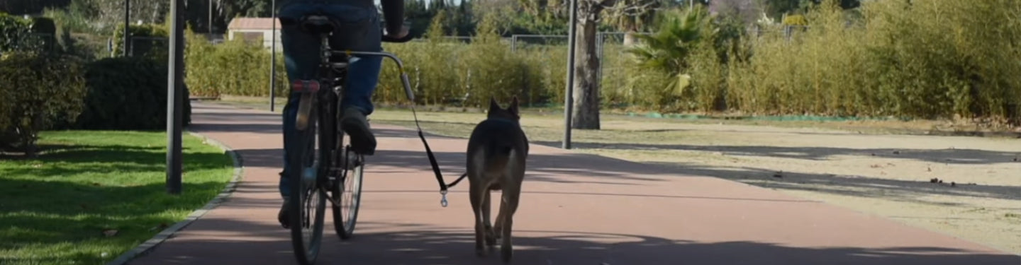 Cycliste avec un chien accroché avec une laisse au vélo