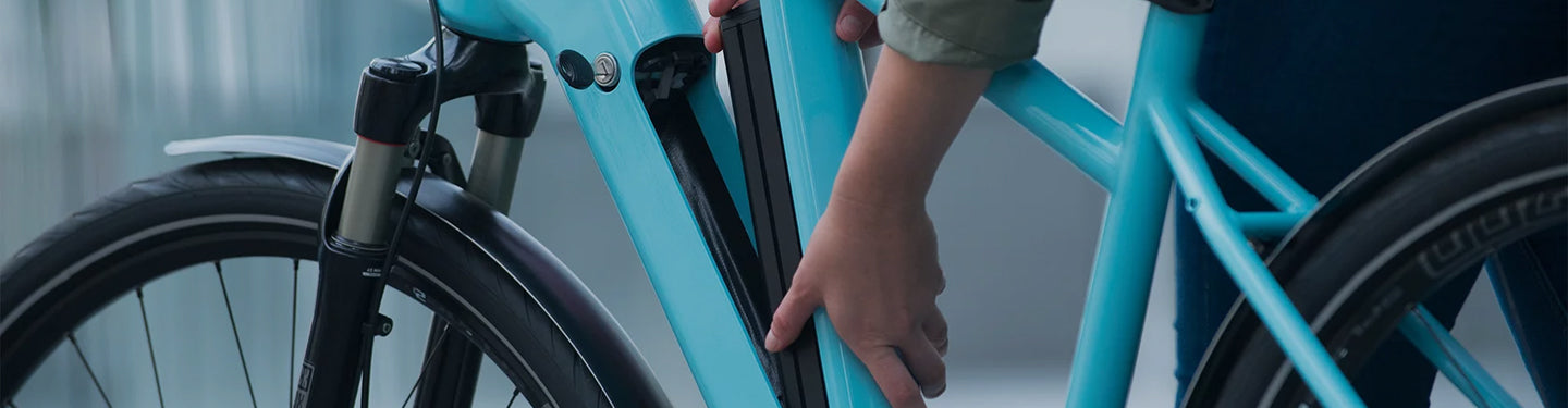 Batterie de vélo électrique Bosch