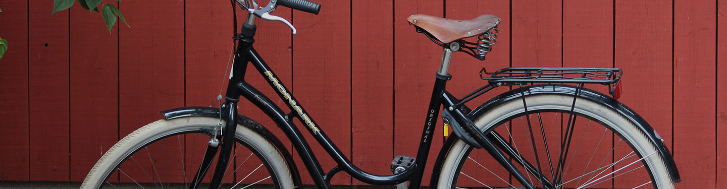 Porte-bagages de vélo arrière Pletscher