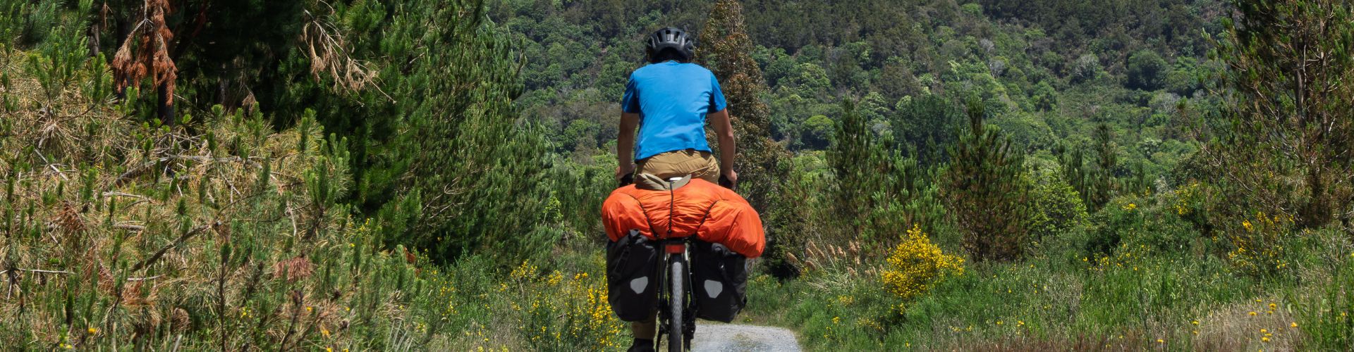 Cycliste en randonnée bikepacking avec sacoches vélo et maillot vélo