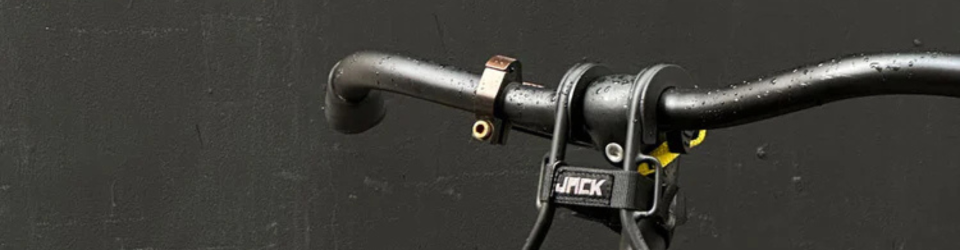 wholesale-grains-jack