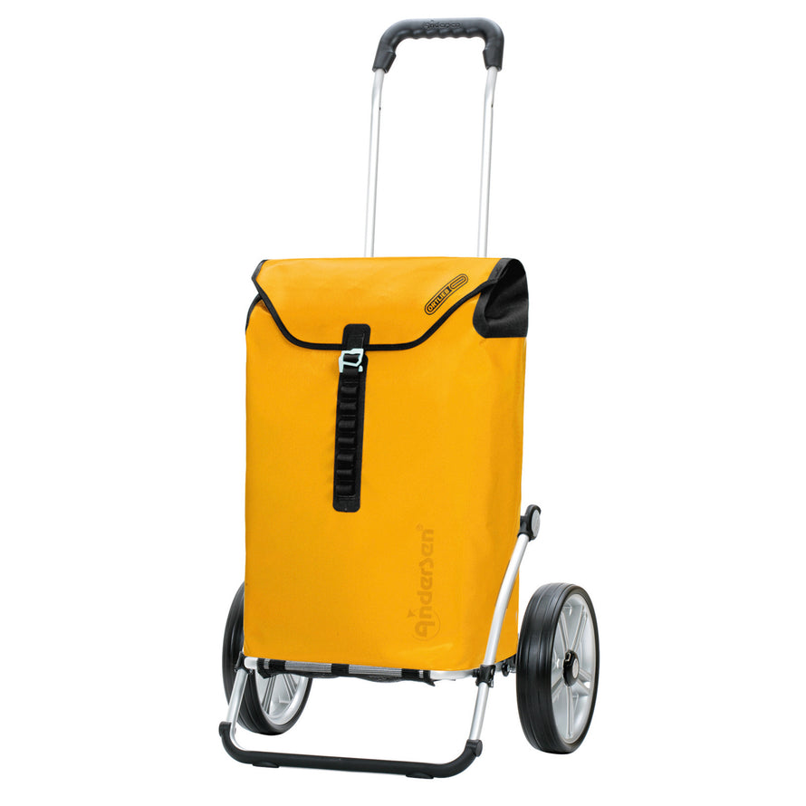Caddie pour vélo Andersen Royal Shopper avec Sac étanche Ortlieb