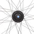 roue Shimano 28 pouces avec moyeu nexus dynamo intégré vue du moyeu