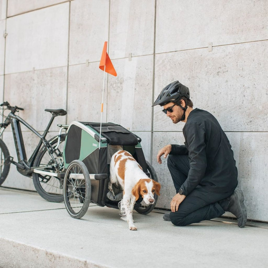 Remorque Vélo pour chien Thule Bexey M #6