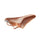Selle Brooks B17 Special honey