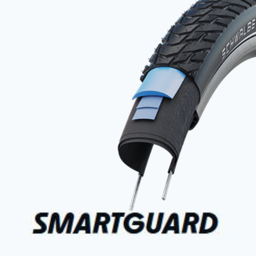 SmartGuard