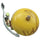 Sonette Suzu Bell Crane Aki