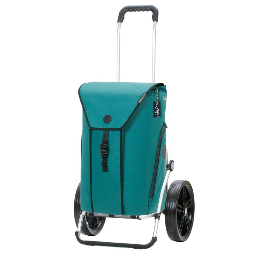 Sac isotherme Andersen Oli.P 3.0 vert pour caddie vélo Shopper 50L, parfait pour garder vos aliments frais