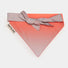 Bandana reflecteur pour chien gofluo modele corail, ideal pour la securite lors des sorties
