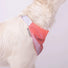 Bandana reflecteur corail pour chien gofluo modele bandana securite visible en balade