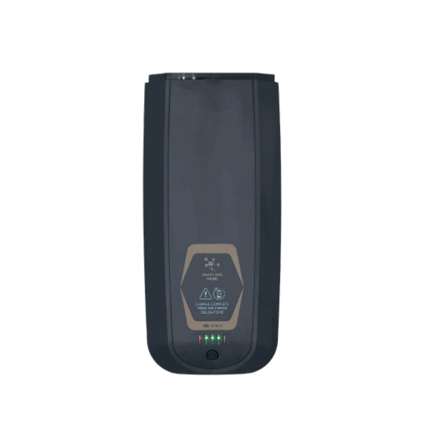 Batterie VAE  Feu Vert E-Roll50 36v#1