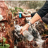 Trinkflasche Beakaway® + Hydrapak 600ml