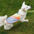 Gilet réfléchissant GoFluo pour chien avec bandes colorées vives pour une visibilité optimale en extérieur