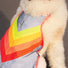 Gilet refletissant pour chien GoFluo modele avec rayures colorees pour meilleure securite en exterieur