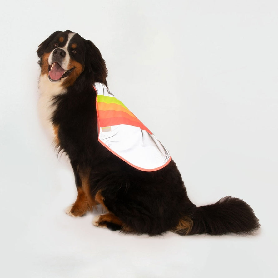 Gilet refletissant pour chien GoFluo modele garantissant visibilite jour et nuit pour sorties a velo
