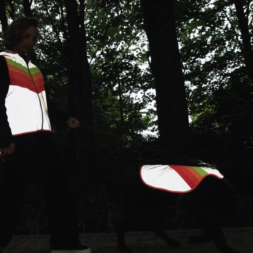 Gilet reflechissant pour chien GoFluo avec bandes colorees pour une visibilite maximale la nuit