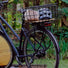 Installation Racktime avec plaque d'adaptation pour transporter un panier à vélo