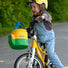 Panier vélo enfant Klickfix Lori Shopper 4L jaune bleu vert avec fixation guidon pratique et fermeture sécurisée