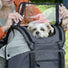 Sac de vélo pour chien Doggy KLICKfix avec ouverture transparente pour un confort optimal de votre animal