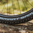 Nouveau pneu Smart Sam Schwalbe
