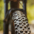 Nouveau pneu VTT Smart Sam Schwalbe