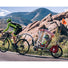 Remorque vélo à pédales Weehoo iGo Turbo - #6