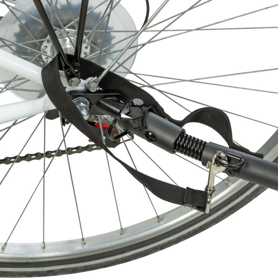 Fixation robuste remorque velo chien pliable Trixie modele 22 kg pour balades en toute securite