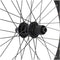 Roue arrière vélo cargo 20 pouces Kargo XL