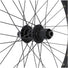 roue arriere vélo cargo 20 pouces mach1 kargo xl – detail du corps de roue libre shimano tc500