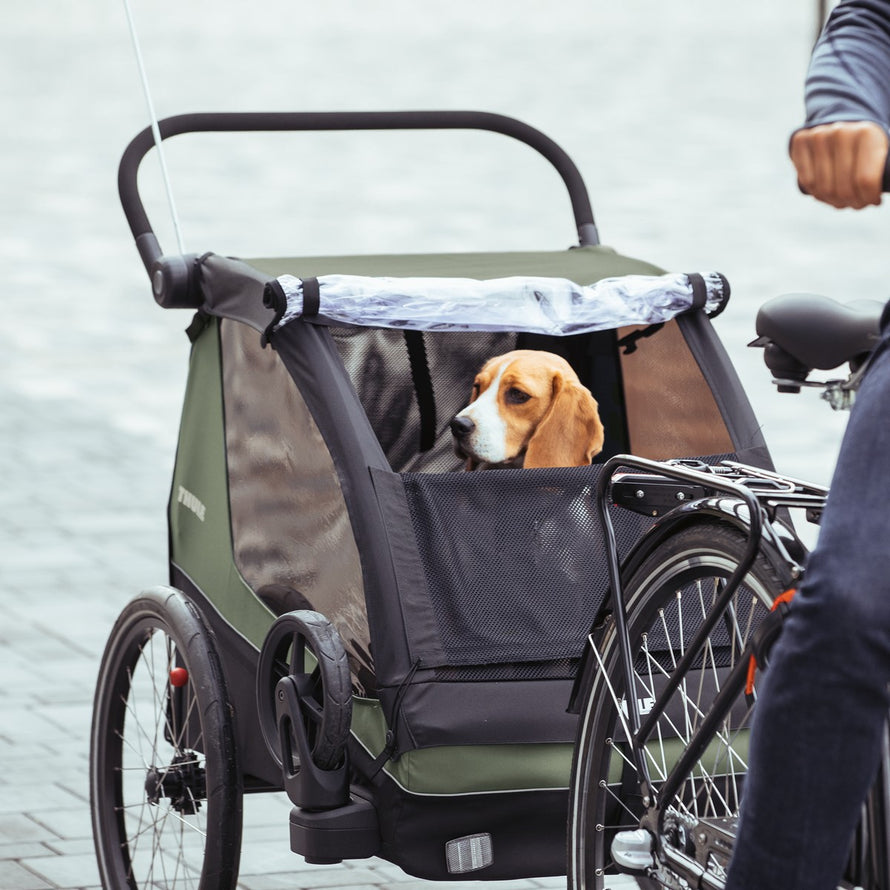 Remorque Thule Courier 2 places transformable en poussette et cargo, idéale pour transporter enfants ou animaux