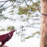 Sangles ultralégères Lightest Straps Ticket To The Moon pour hamac, fixation facile et solide sur arbre