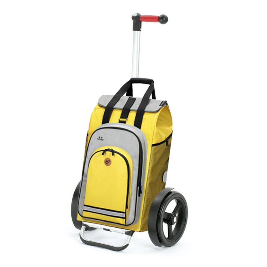 Caddie pour vélo Andersen Tura avec sac isotherme Hydro