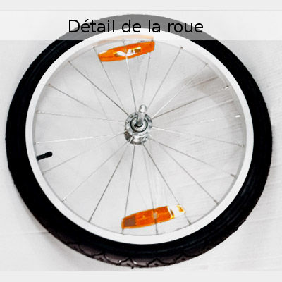 Remorque pour vélo Maxxus - 2 places - #4