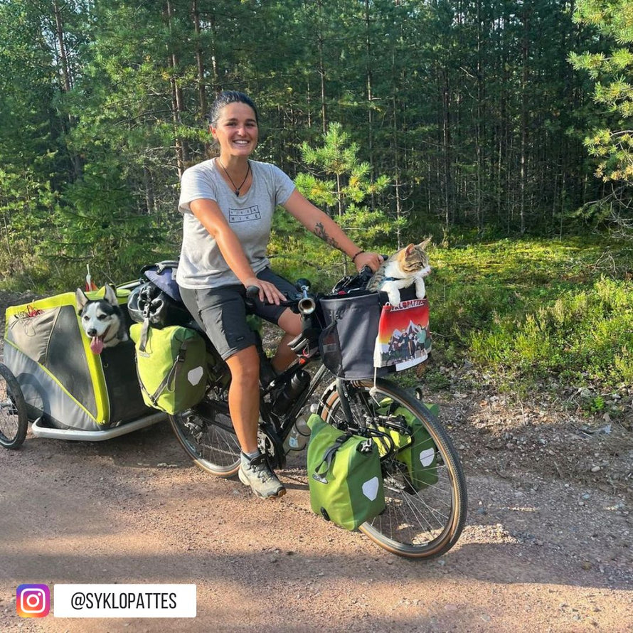 Sac de vélo pour chat Doggy - KLICKfix syklopattes